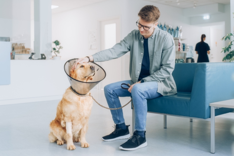 A man petting his dog in the waiting room of a clinic